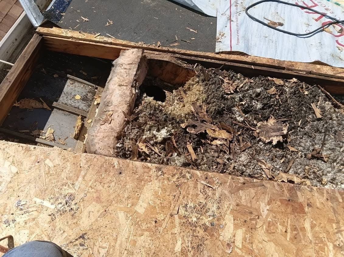 Rotted roof decking exposed and cut out for replacement